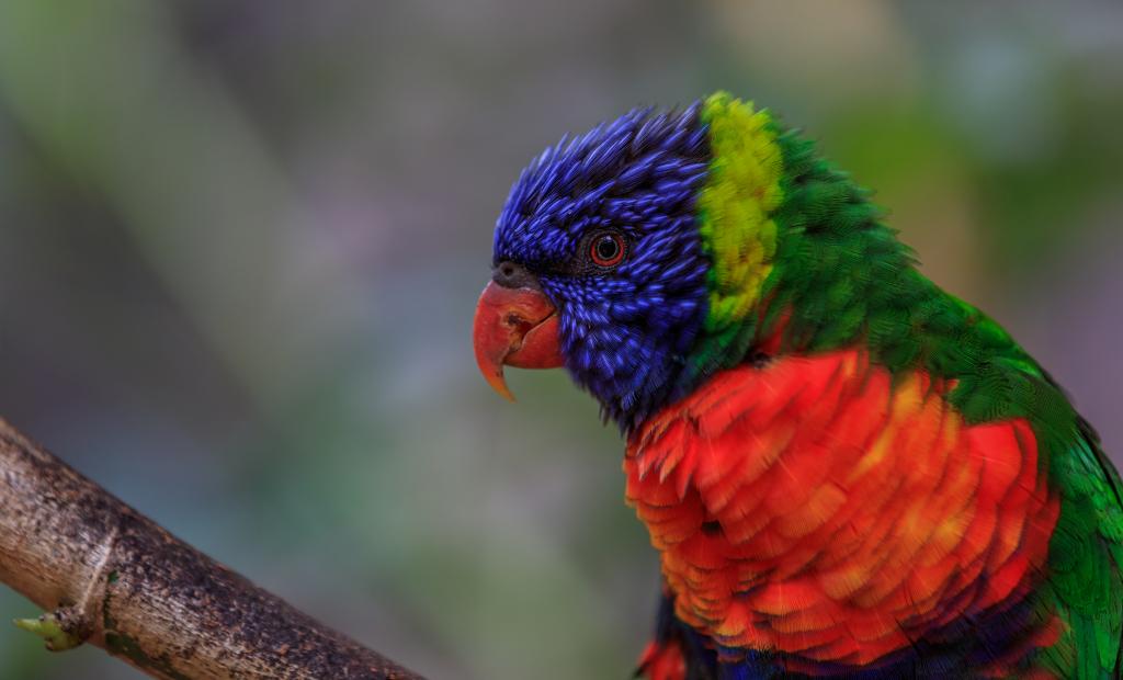 shutterstock_1507125668.jpg
