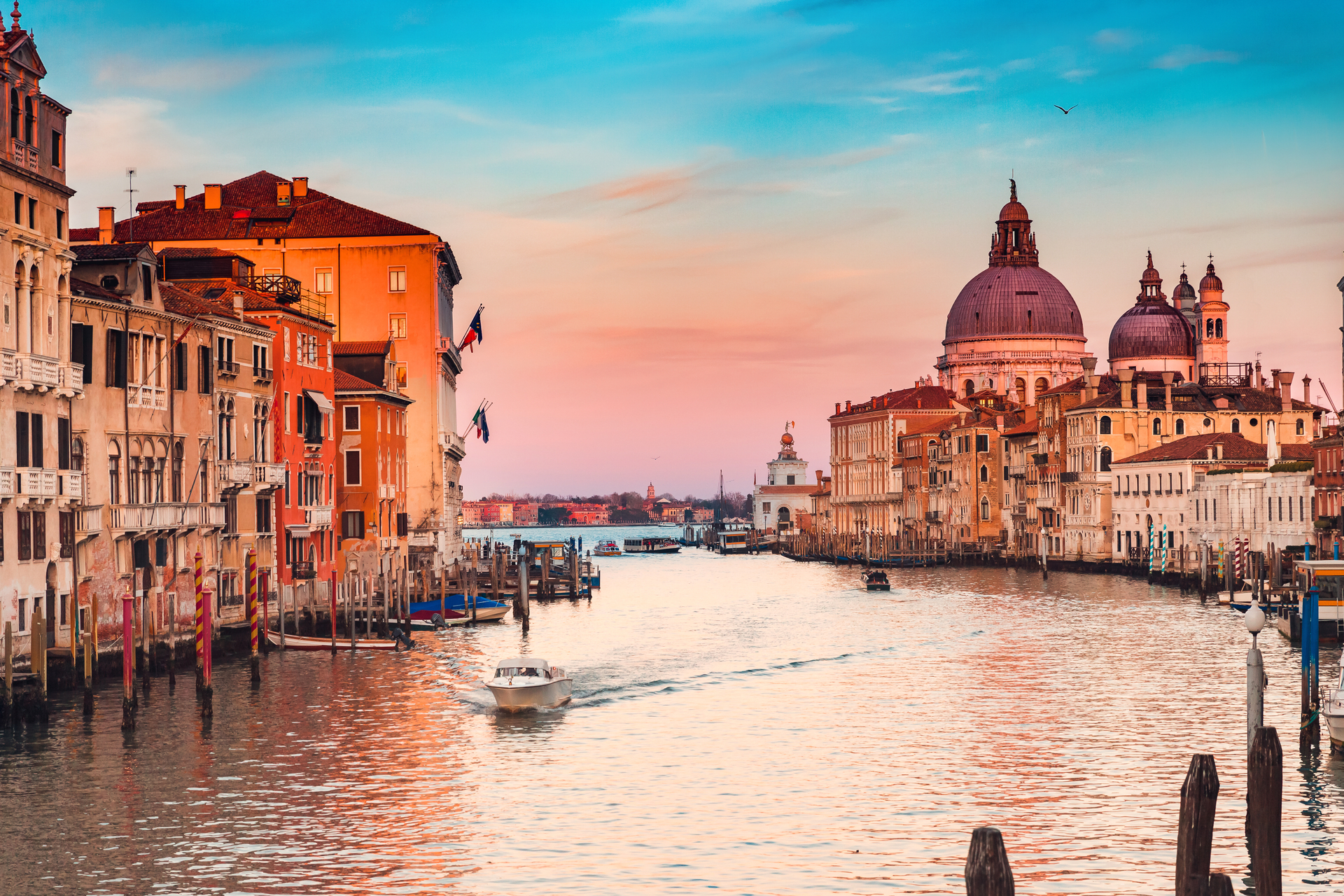 shutterstock_1653426205.jpg