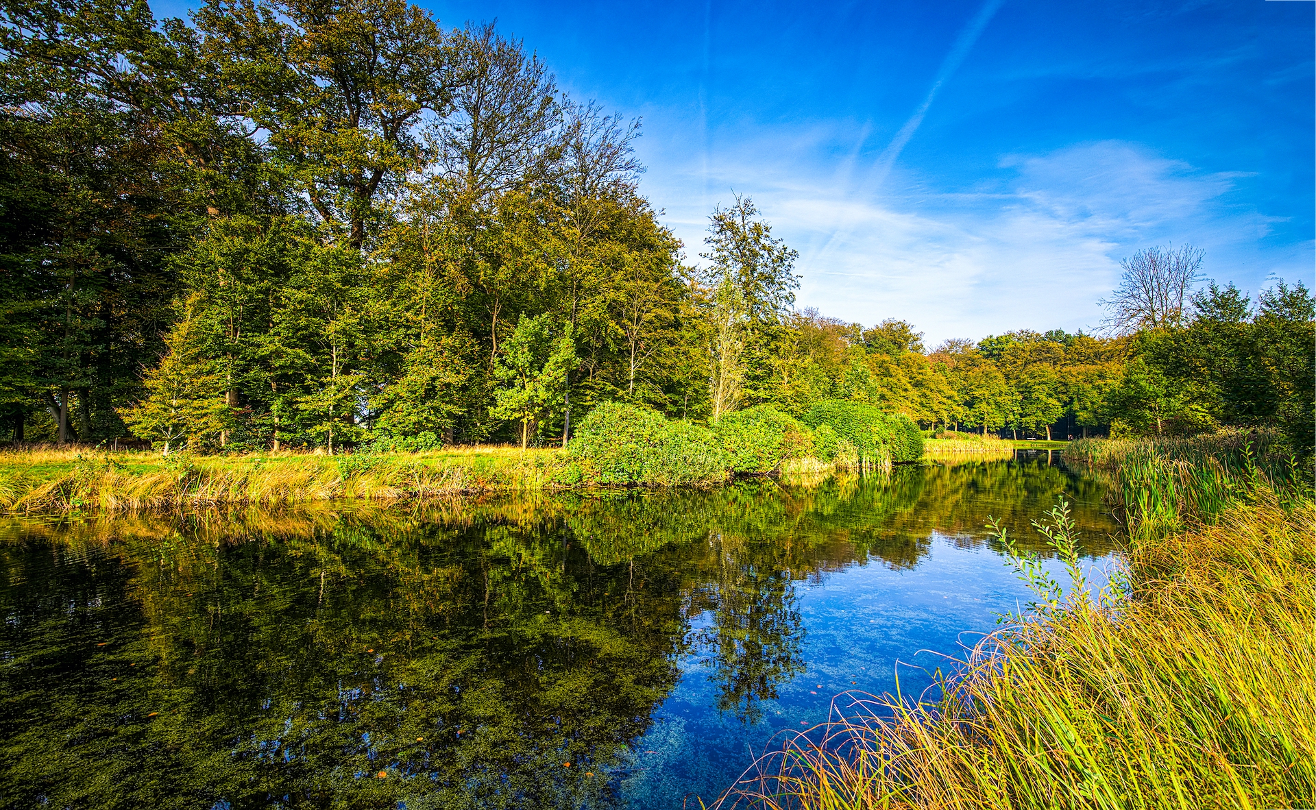 shutterstock_1571181574.jpg