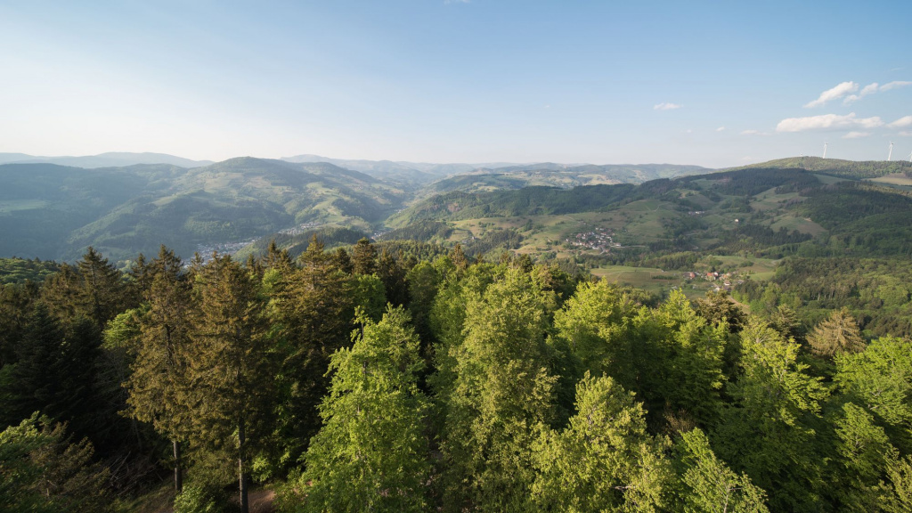 shutterstock_1727081446.jpg