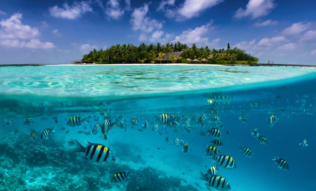 shutterstock_1285168165.jpg