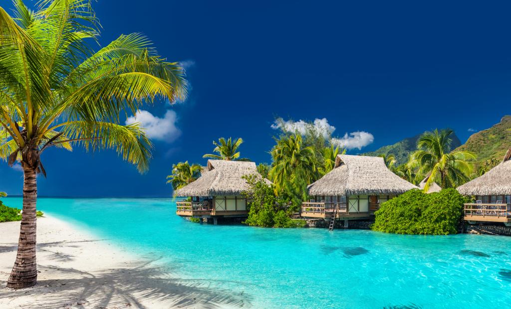 shutterstock_698837674.jpg