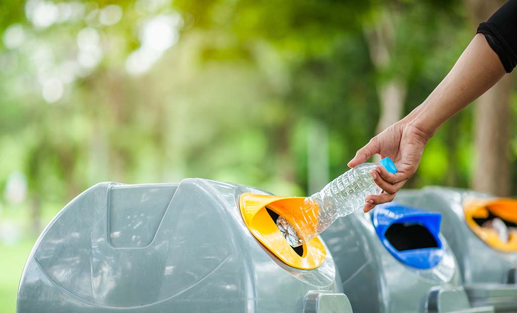 shutterstock_1167217681.jpg