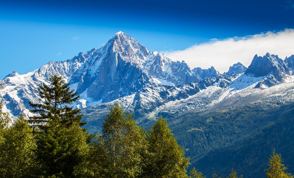 shutterstock_113465512.jpg