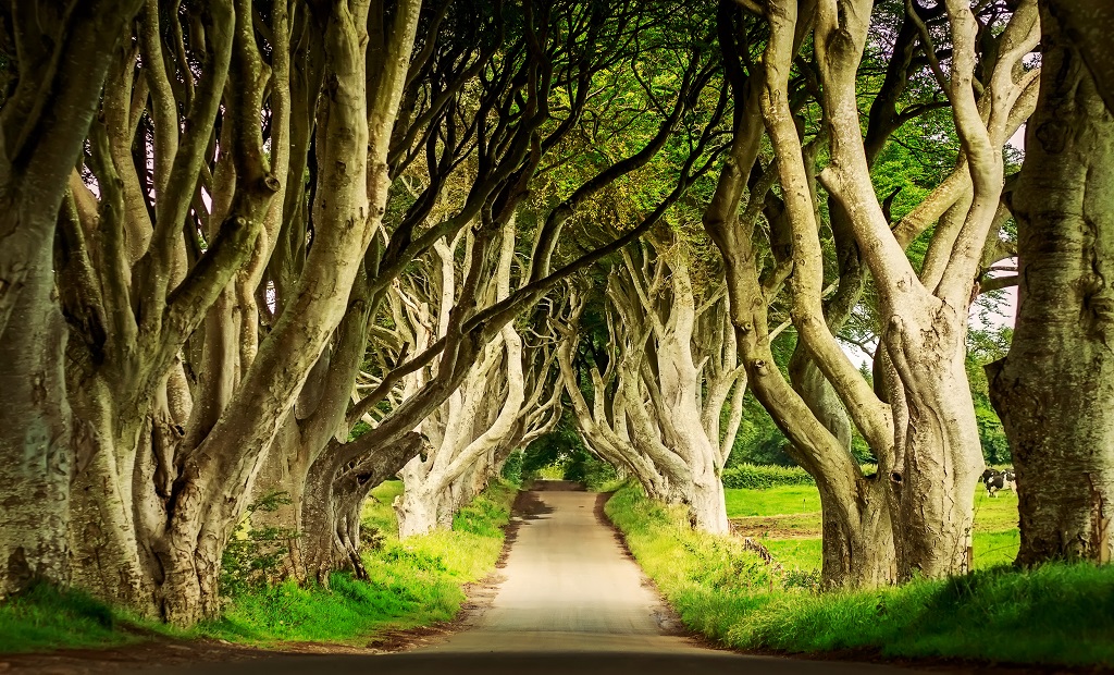shutterstock_305240978.jpg