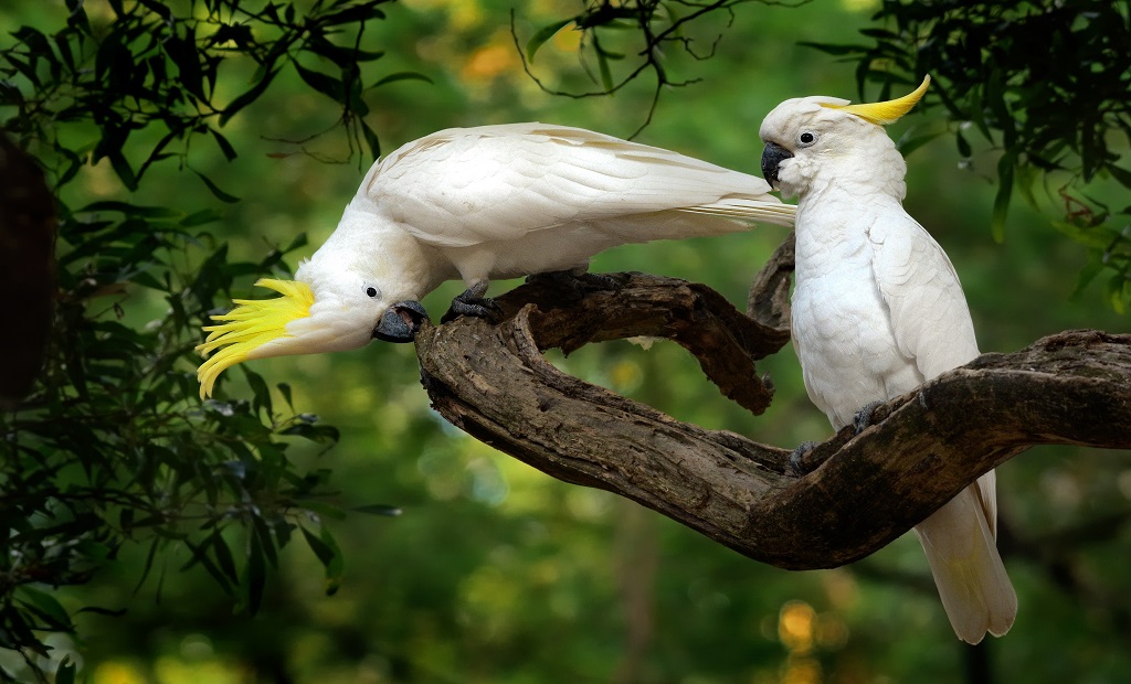 shutterstock_1108619195.jpg