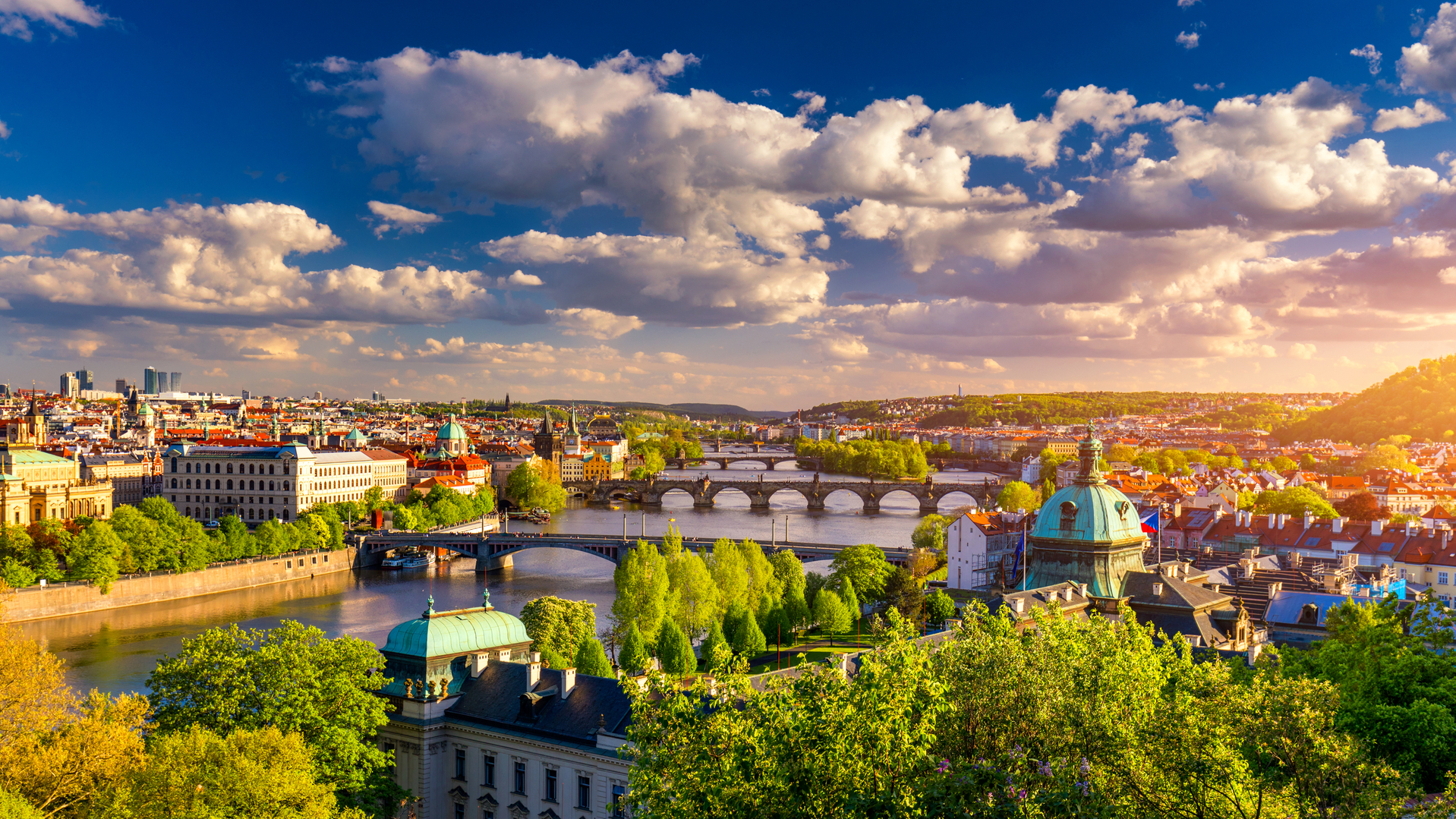 shutterstock_1669297288.jpg