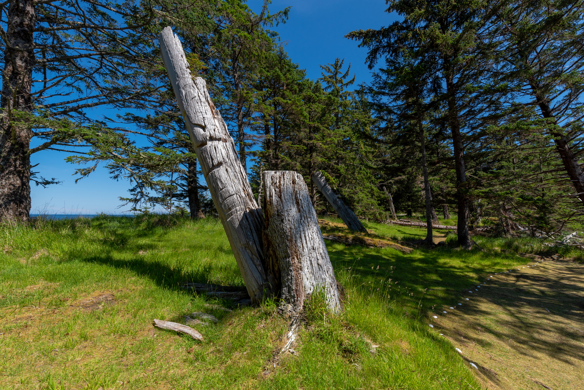 shutterstock_1601967118.jpg