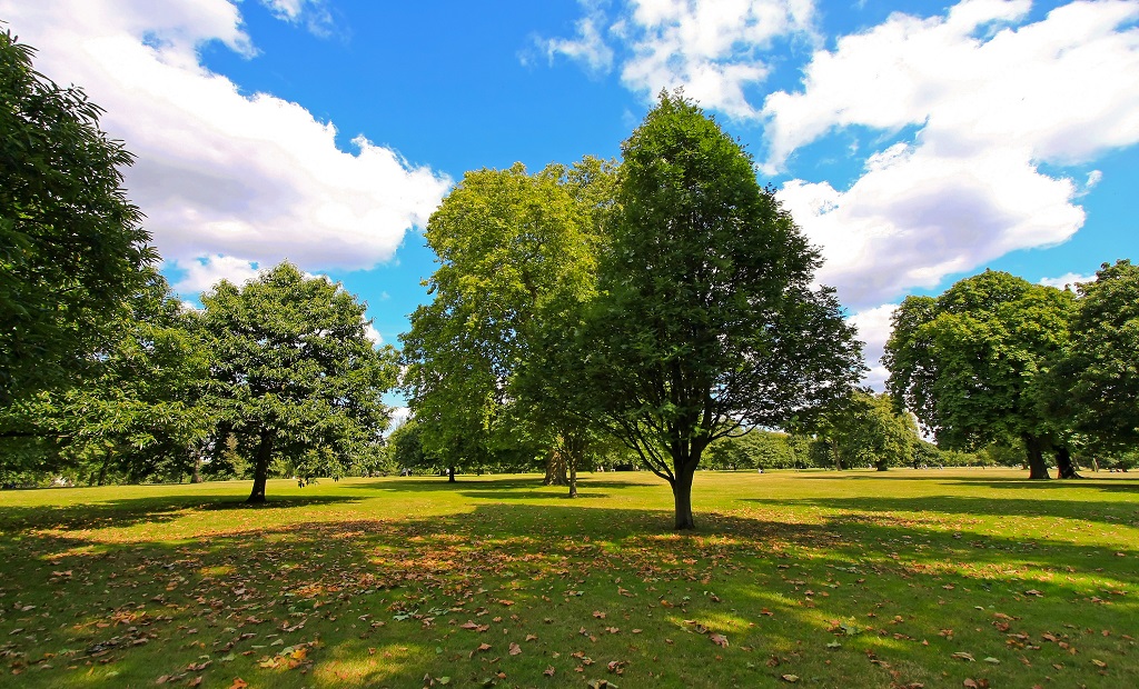 shutterstock_77425840.jpg