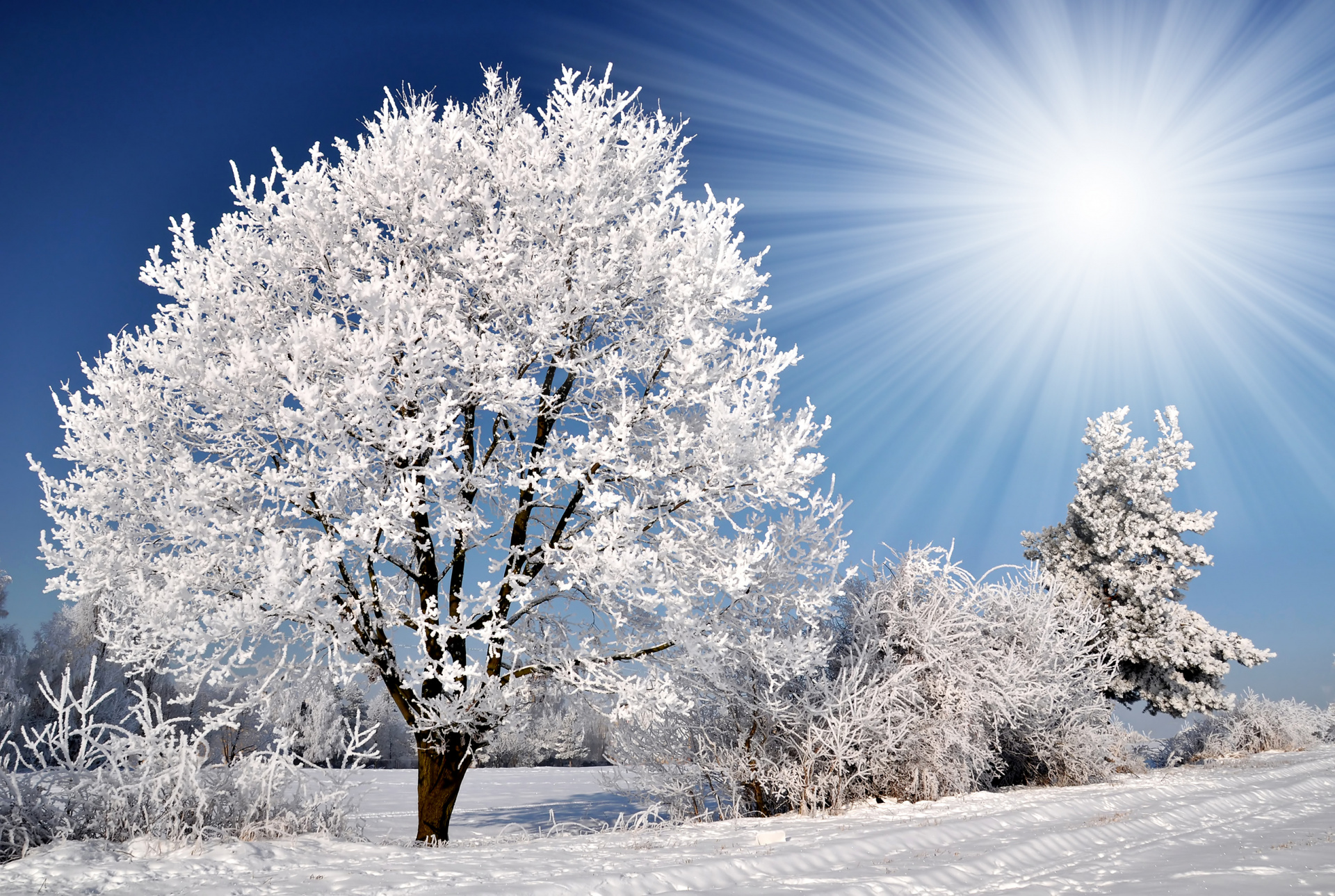 shutterstock_89907352.jpg