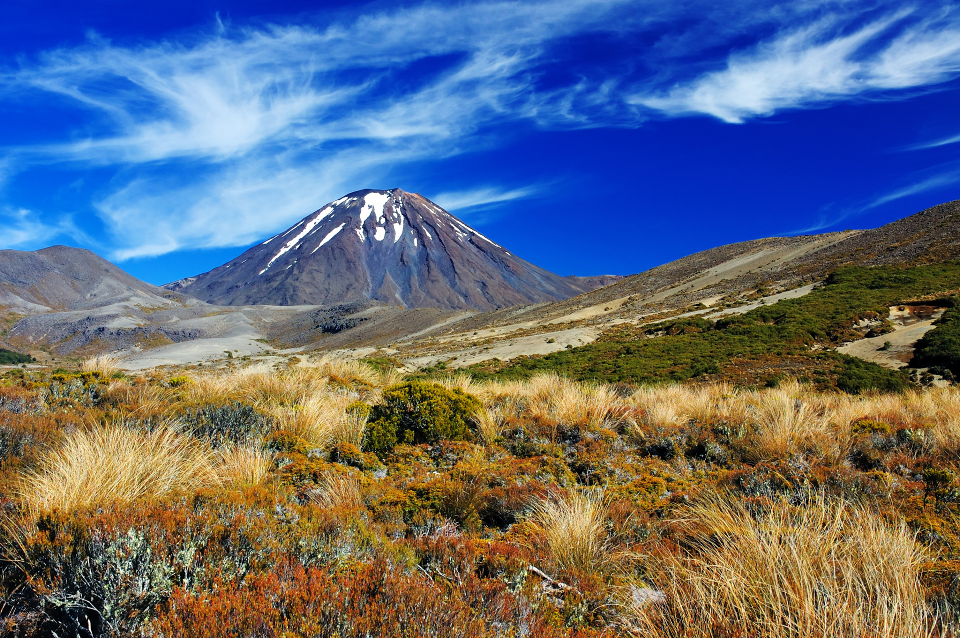 shutterstock_27835264.jpg