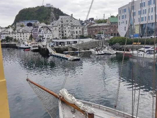 IMAG0484.jpg