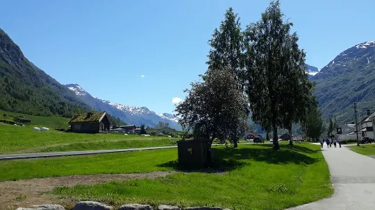 20190615_141049.jpg